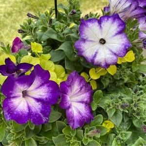 Meet your Posher, Kari